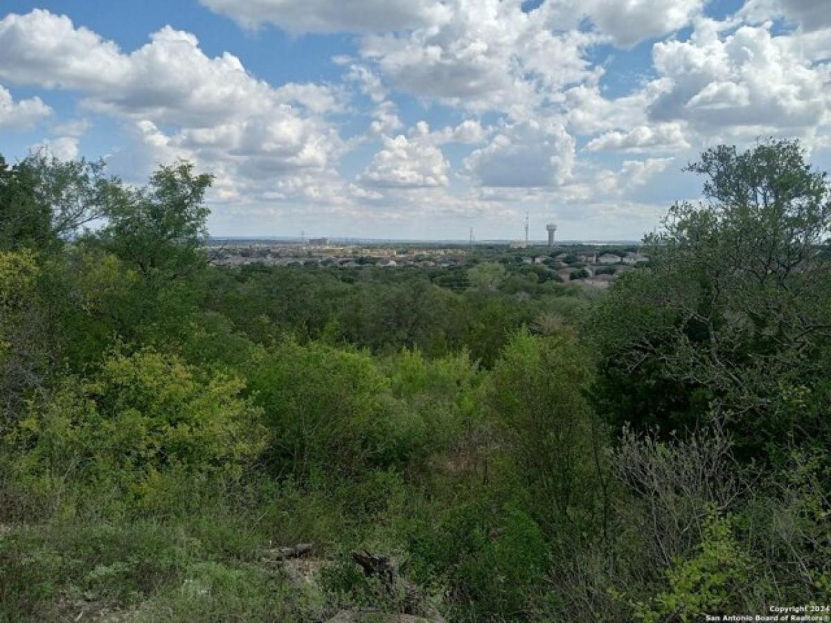 Picture of Residential Land For Sale in Live Oak, Texas, United States