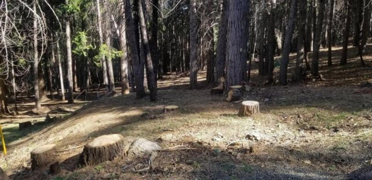 Picture of Residential Land For Sale in Pollock Pines, California, United States