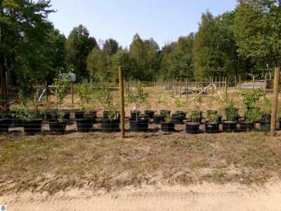 Residential Land For Sale in Beaverton, Michigan