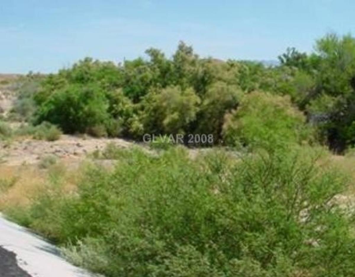 Picture of Residential Land For Sale in Pahrump, Nevada, United States