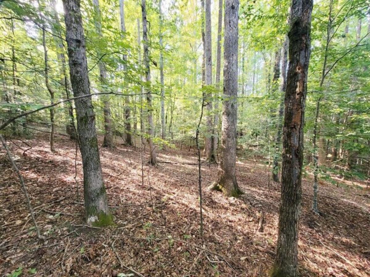 Picture of Residential Land For Sale in Tryon, North Carolina, United States