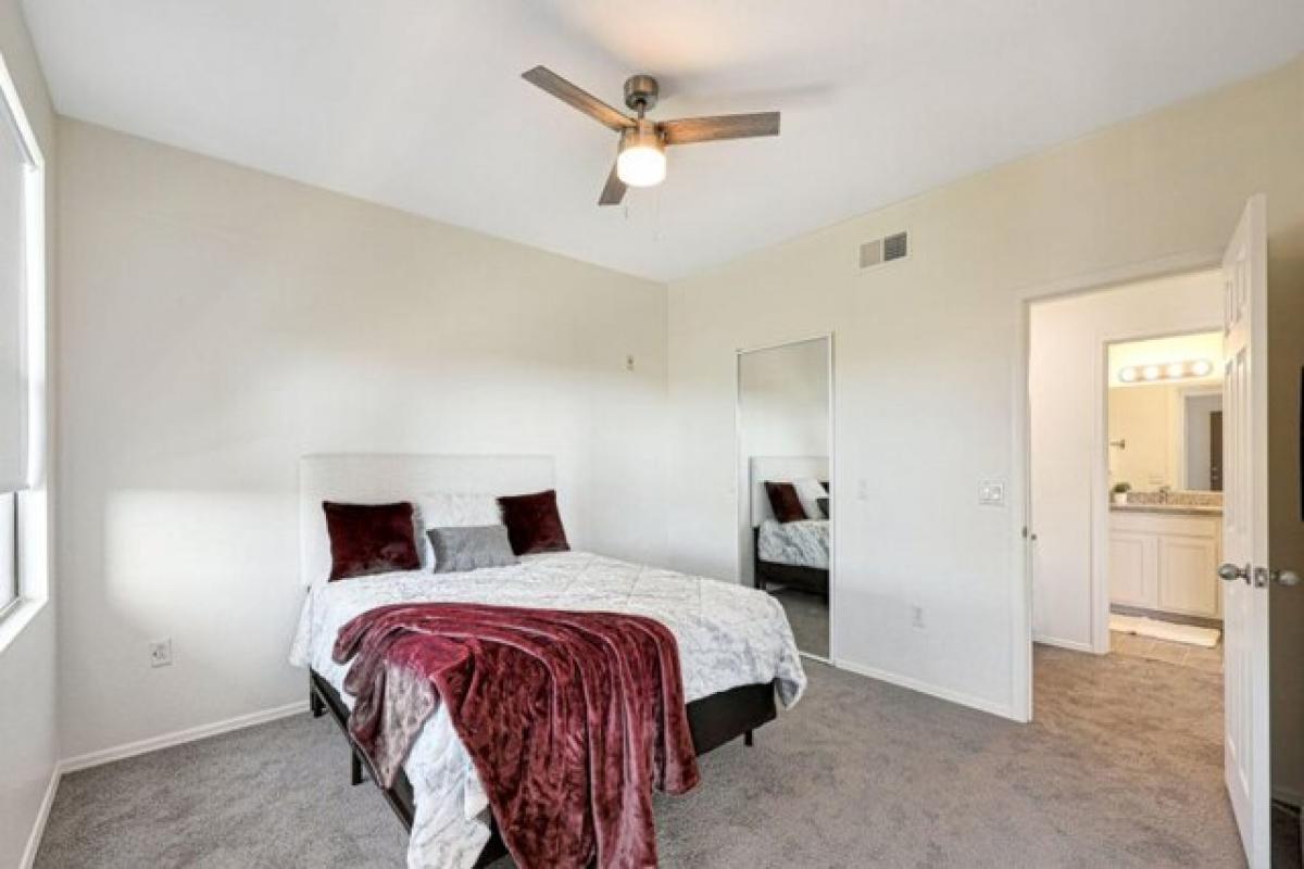 Picture of Apartment For Rent in Scottsdale, Arizona, United States