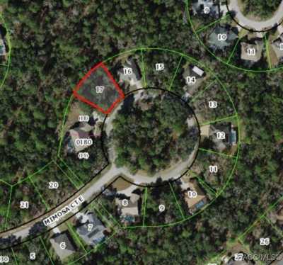 Residential Land For Sale in Homosassa, Florida