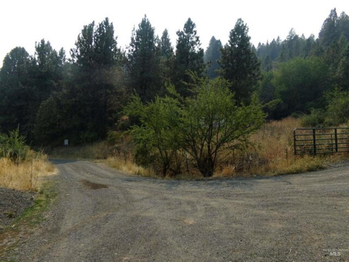 Picture of Residential Land For Sale in Lenore, Idaho, United States