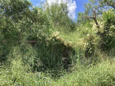 Residential Land For Sale in Alice, Texas