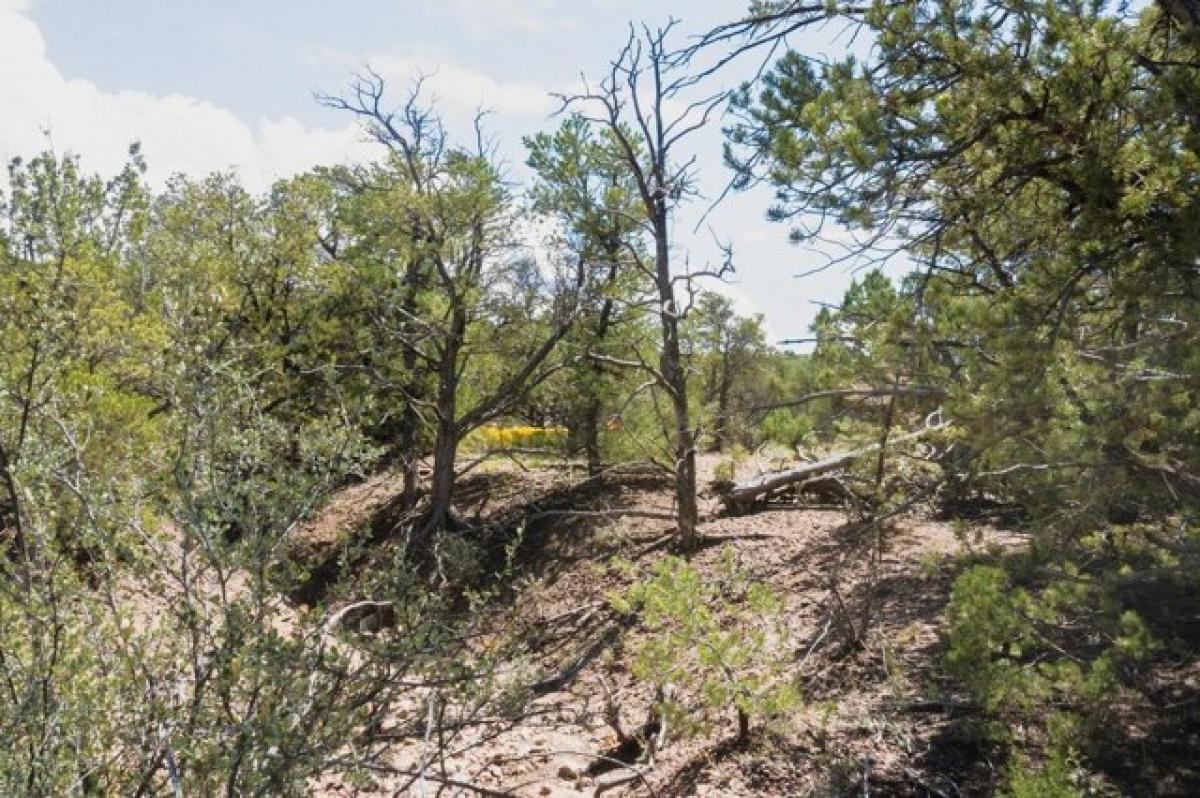 Picture of Residential Land For Sale in Santa Fe, New Mexico, United States