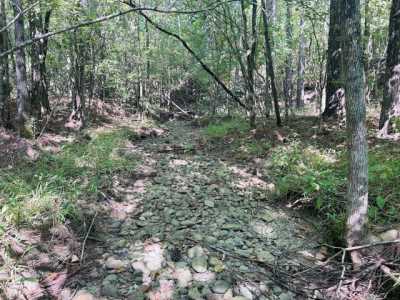 Residential Land For Sale in Leesburg, Alabama