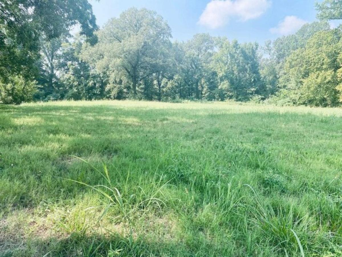 Picture of Residential Land For Sale in Memphis, Tennessee, United States