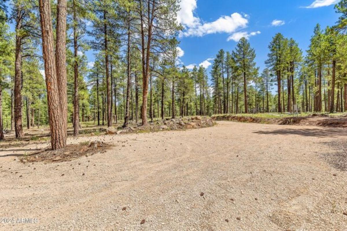 Picture of Residential Land For Sale in Flagstaff, Arizona, United States