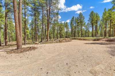 Residential Land For Sale in Flagstaff, Arizona