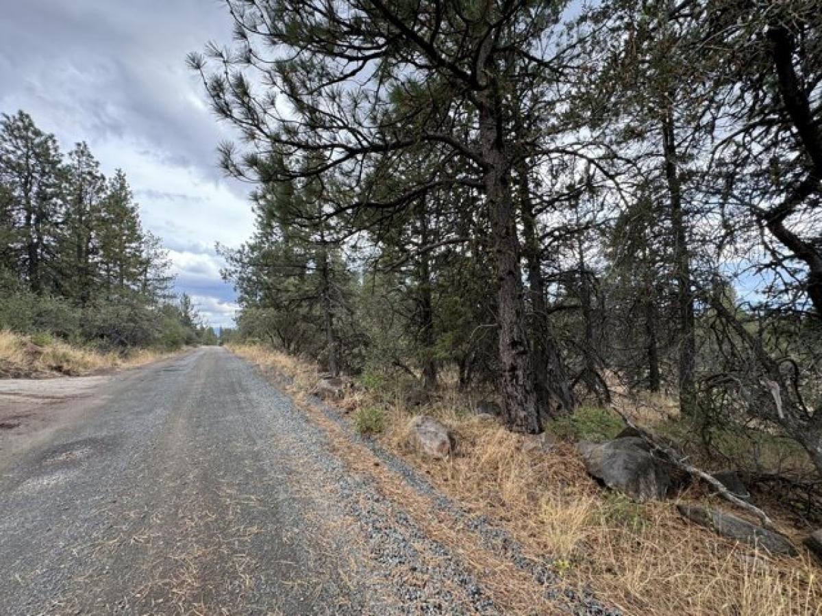 Picture of Residential Land For Sale in Bonanza, Oregon, United States