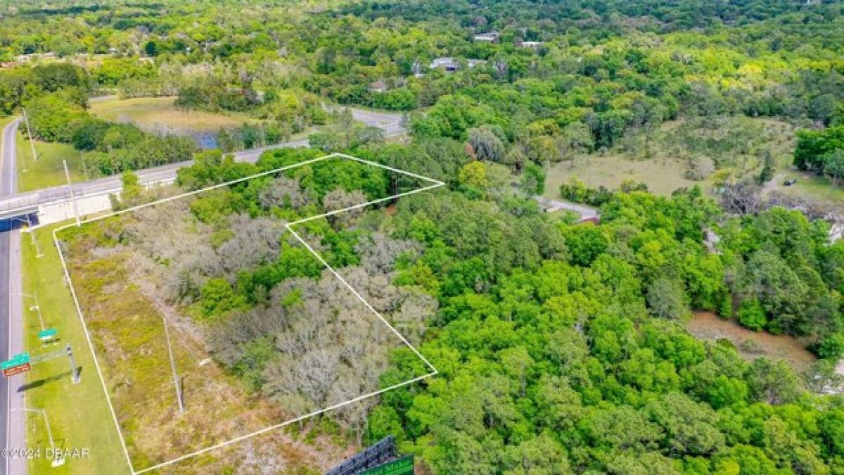 Picture of Residential Land For Sale in Lake Helen, Florida, United States