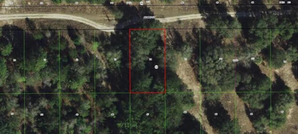 Picture of Residential Land For Sale in Inverness, Florida, United States