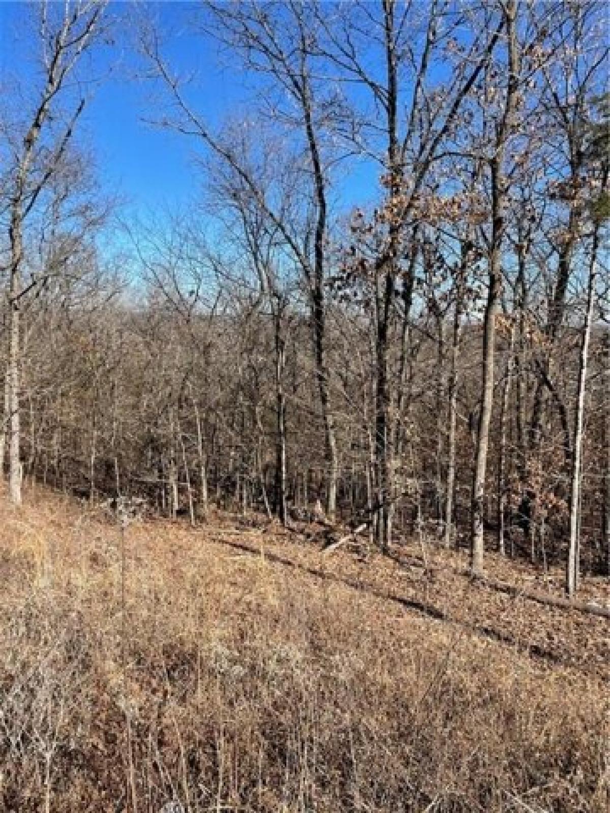 Picture of Residential Land For Rent in Holiday Island, Arkansas, United States