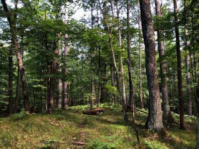 Residential Land For Sale in Minocqua, Wisconsin