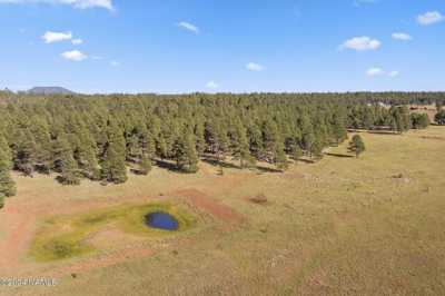 Residential Land For Sale in Bellemont, Arizona