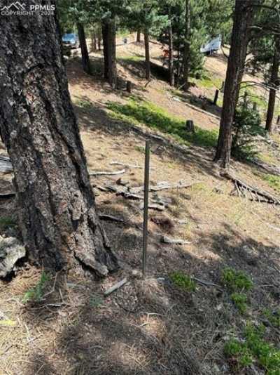 Residential Land For Sale in Larkspur, Colorado