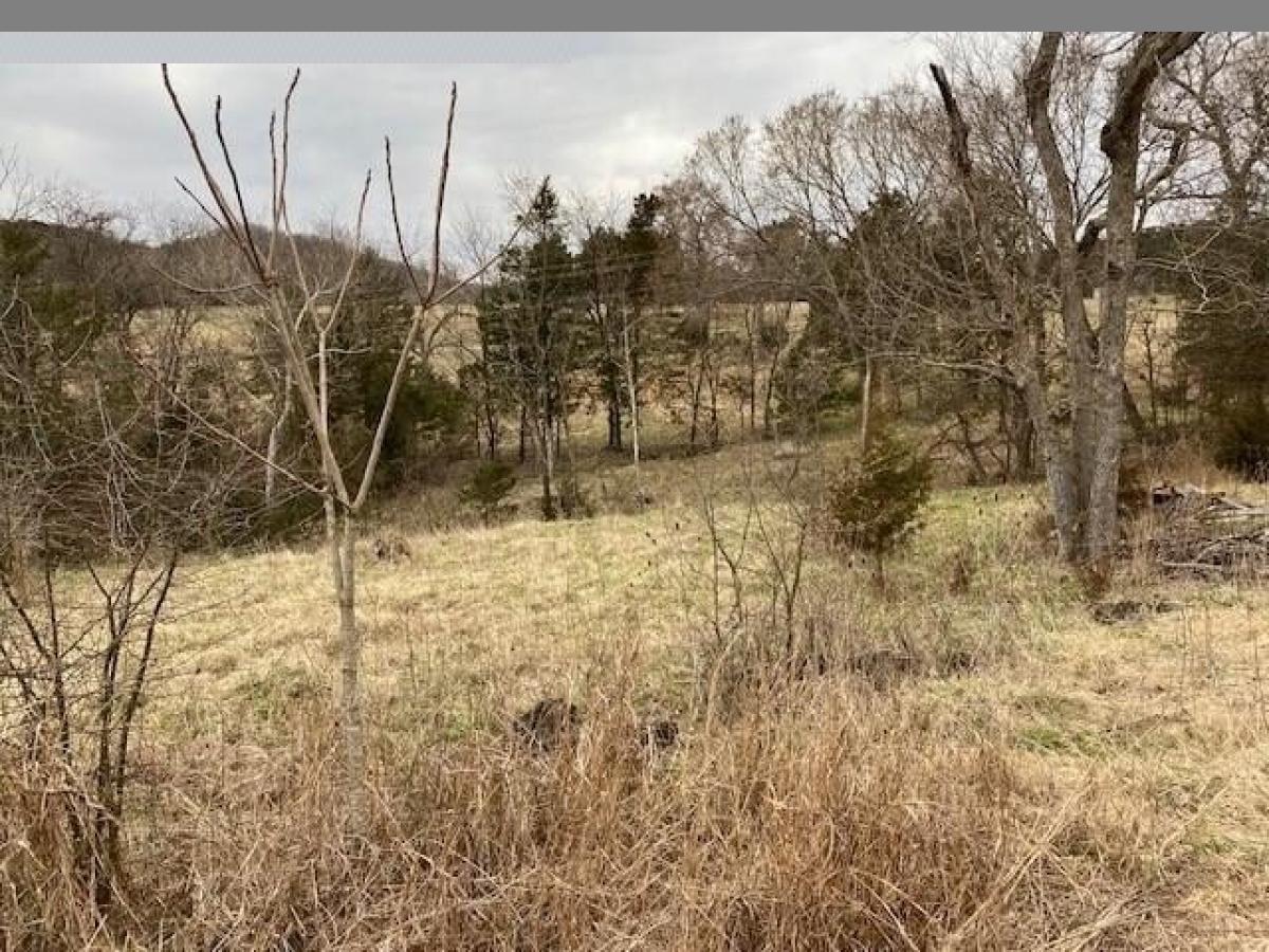 Picture of Residential Land For Sale in Holiday Island, Arkansas, United States