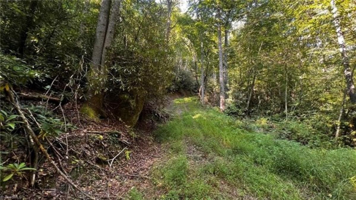 Picture of Residential Land For Sale in Purlear, North Carolina, United States