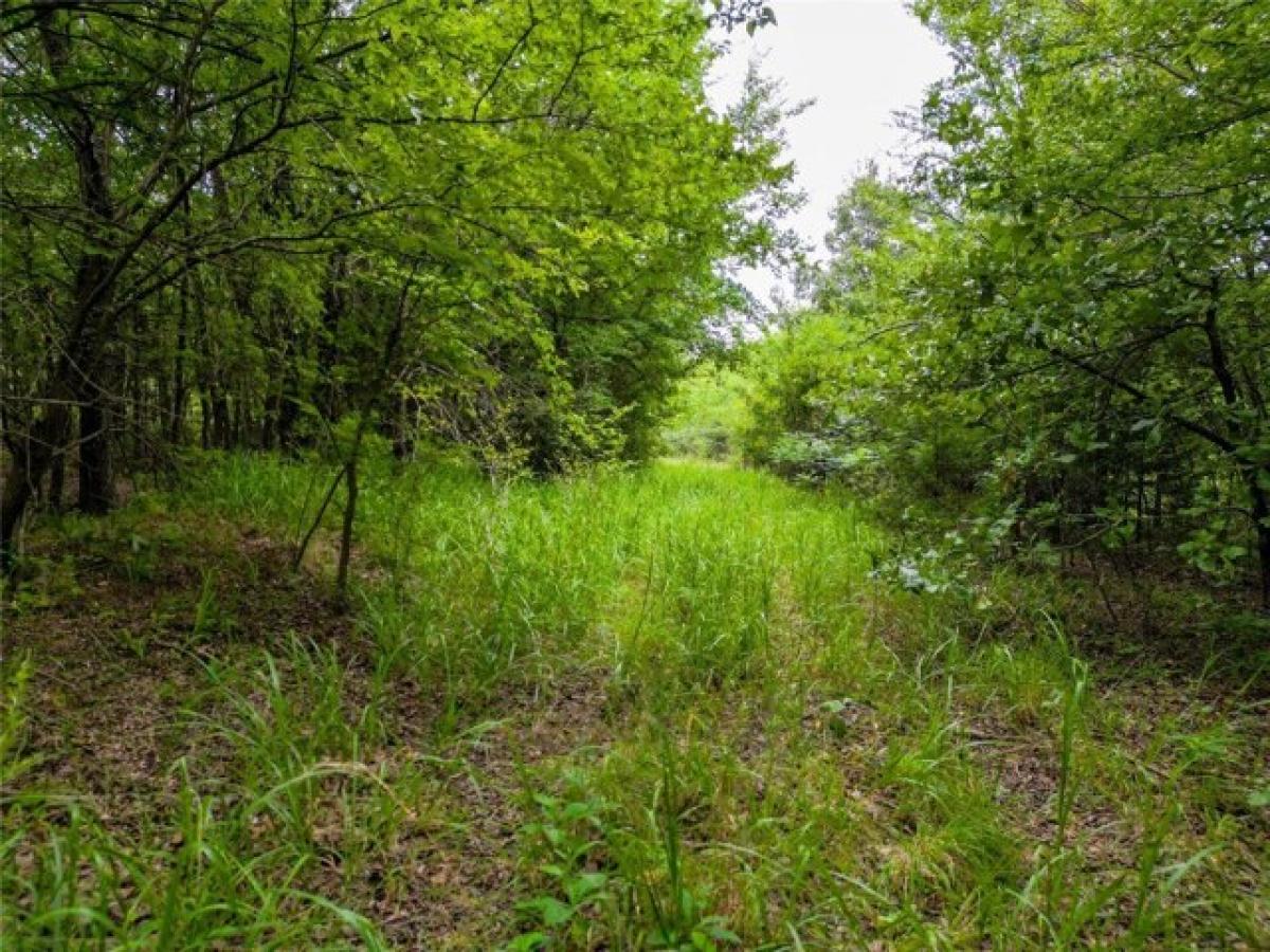 Picture of Residential Land For Sale in Checotah, Oklahoma, United States