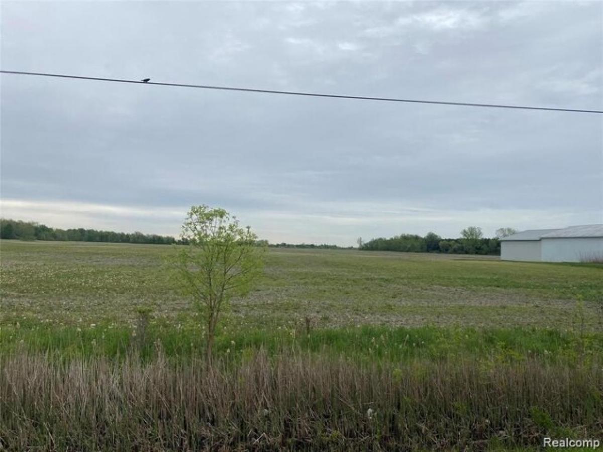 Picture of Residential Land For Sale in Brown City, Michigan, United States