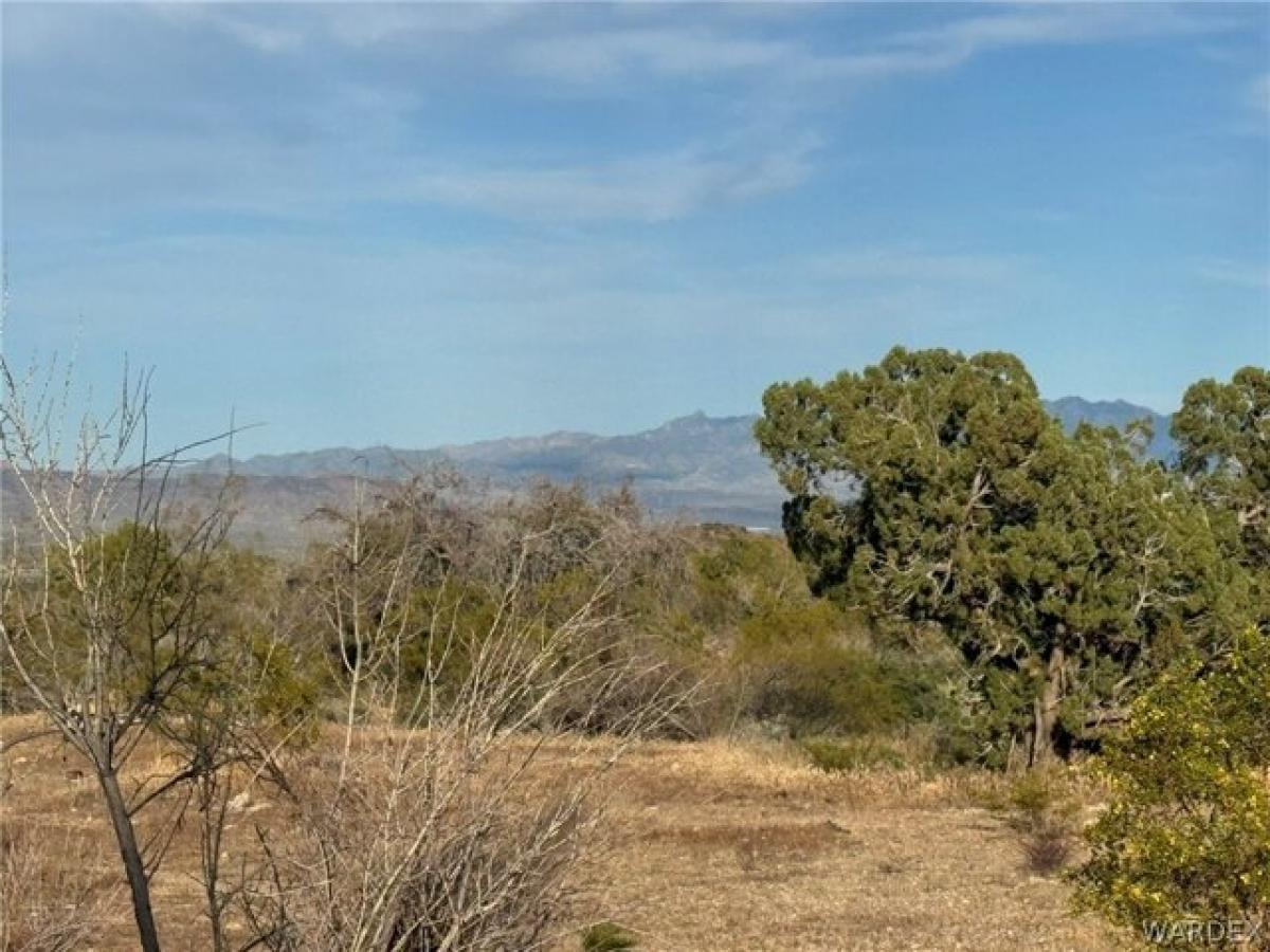 Picture of Residential Land For Sale in Golden Valley, Arizona, United States