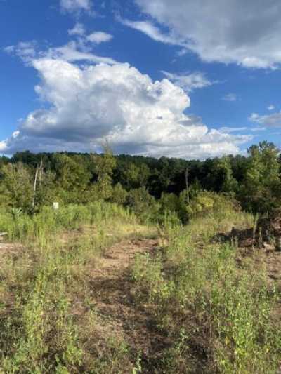 Residential Land For Sale in Lockesburg, Arkansas