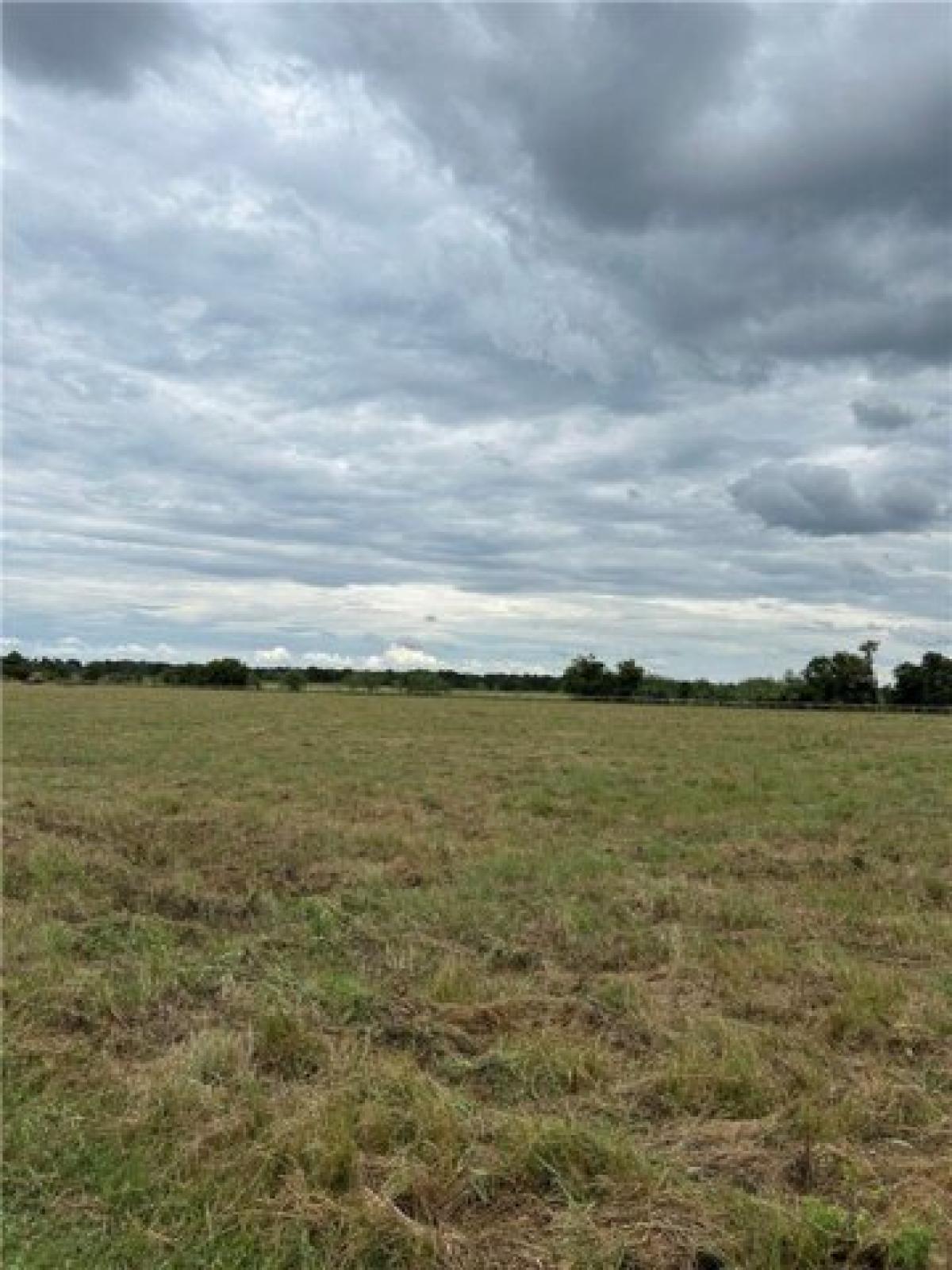 Picture of Residential Land For Sale in Waco, Texas, United States