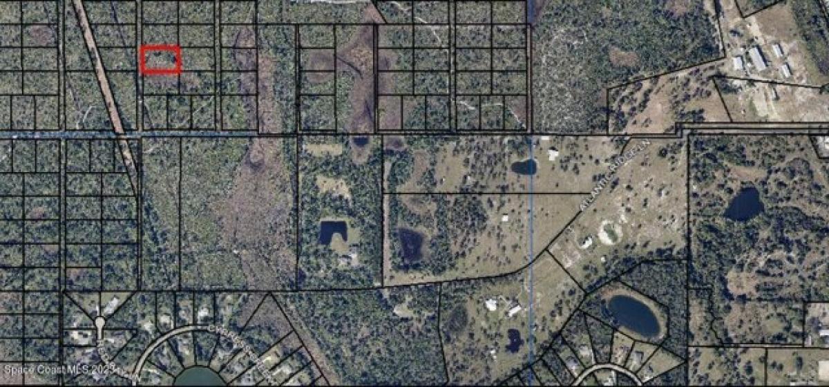 Picture of Residential Land For Sale in Grant, Florida, United States