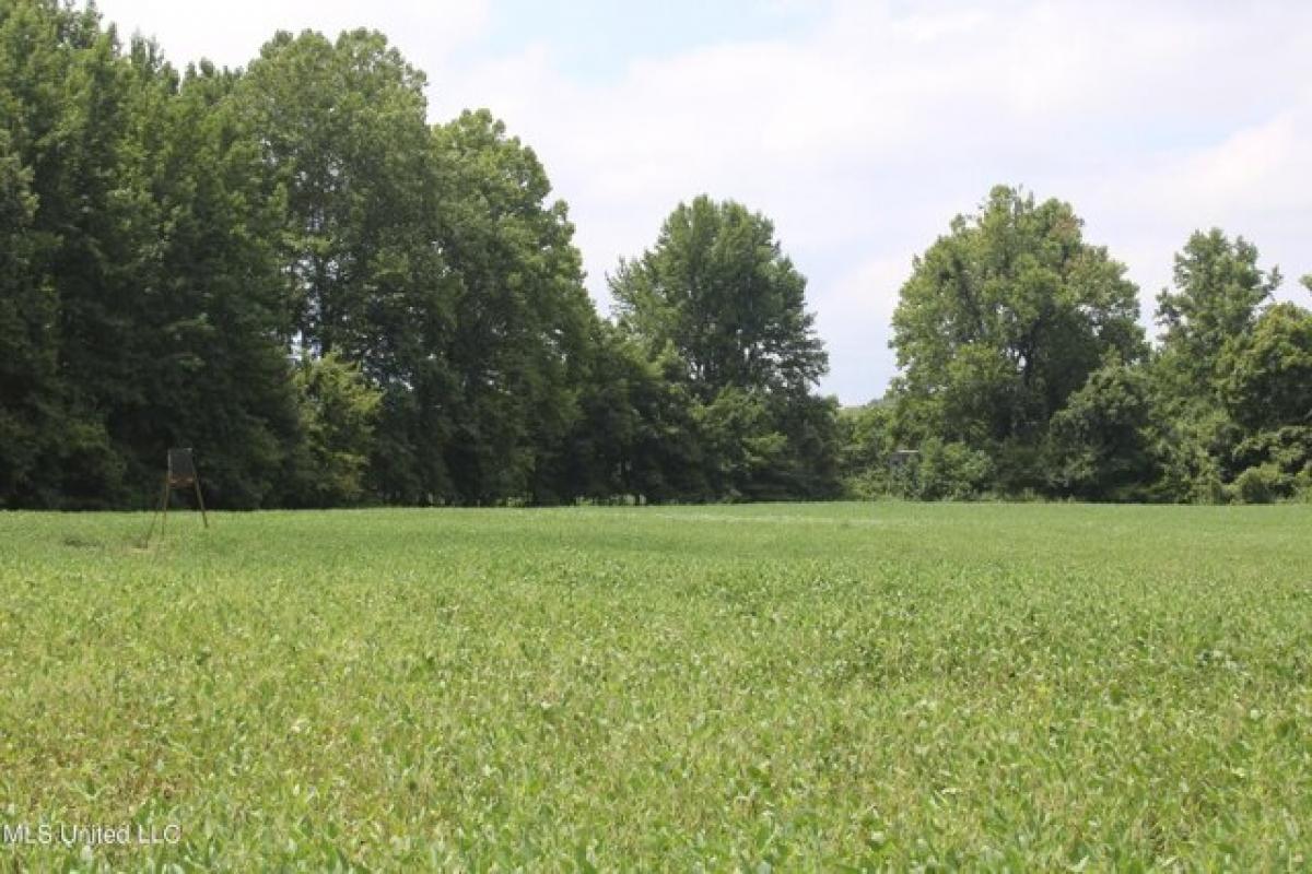 Picture of Residential Land For Sale in Como, Mississippi, United States