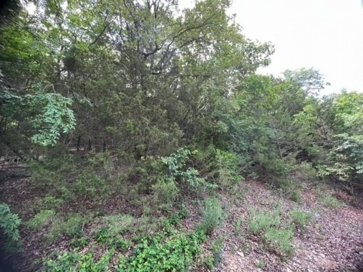 Picture of Residential Land For Rent in Holiday Island, Arkansas, United States