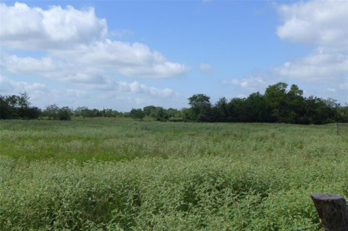 Picture of Residential Land For Sale in Mount Vernon, Texas, United States