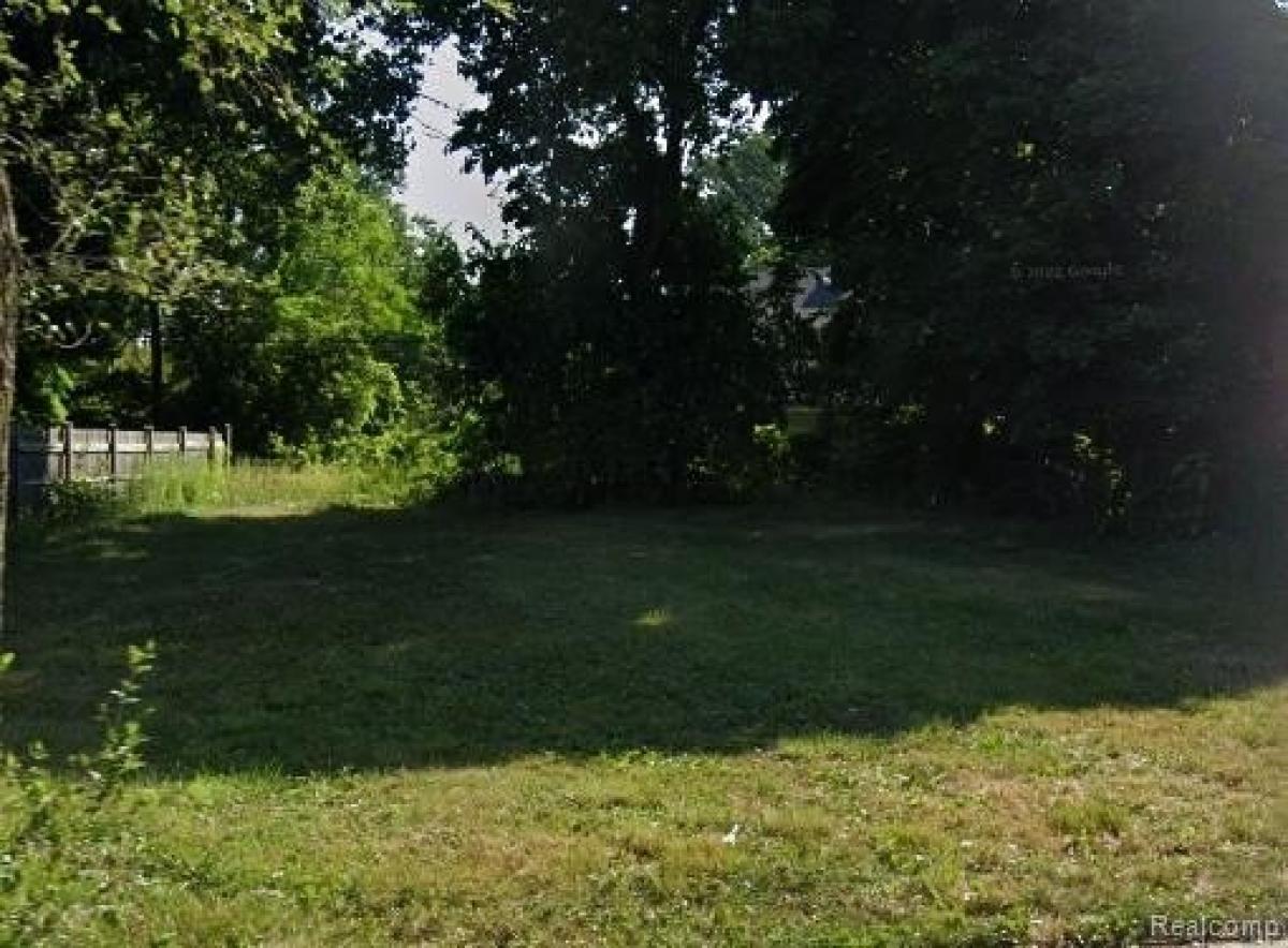 Picture of Residential Land For Sale in Detroit, Michigan, United States