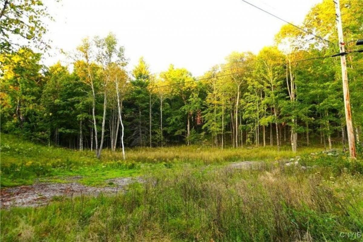 Picture of Residential Land For Sale in Harrisville, New York, United States