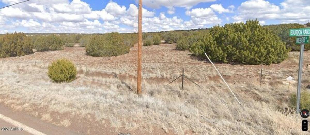 Picture of Residential Land For Sale in Show Low, Arizona, United States