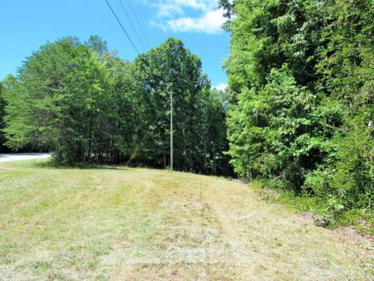 Picture of Residential Land For Sale in Wingina, Virginia, United States