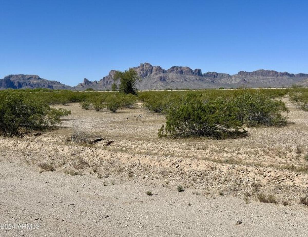 Picture of Residential Land For Sale in Tonopah, Arizona, United States