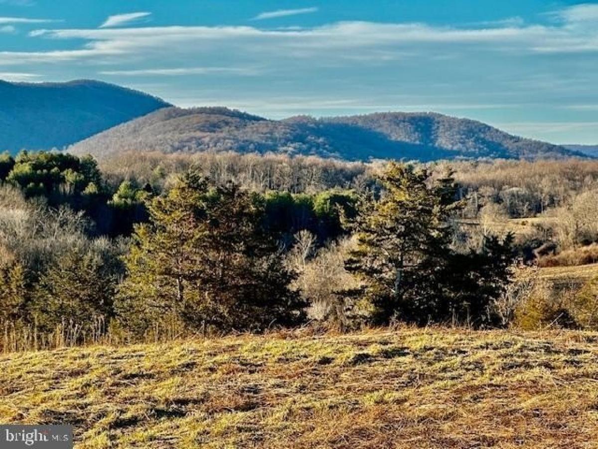 Picture of Residential Land For Sale in Marshall, Virginia, United States