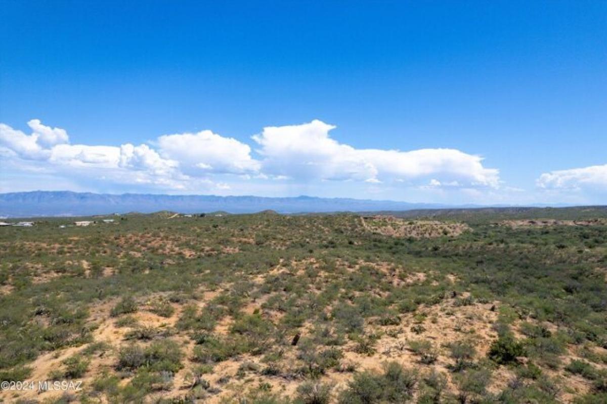 Picture of Residential Land For Sale in Oracle, Arizona, United States