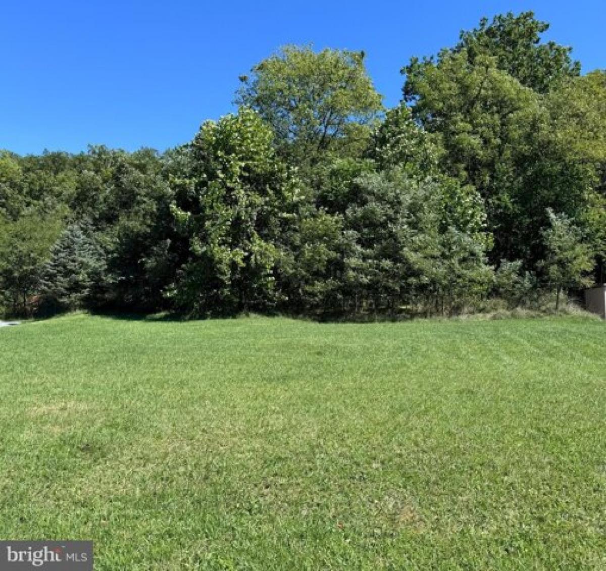 Picture of Residential Land For Sale in Capon Bridge, West Virginia, United States