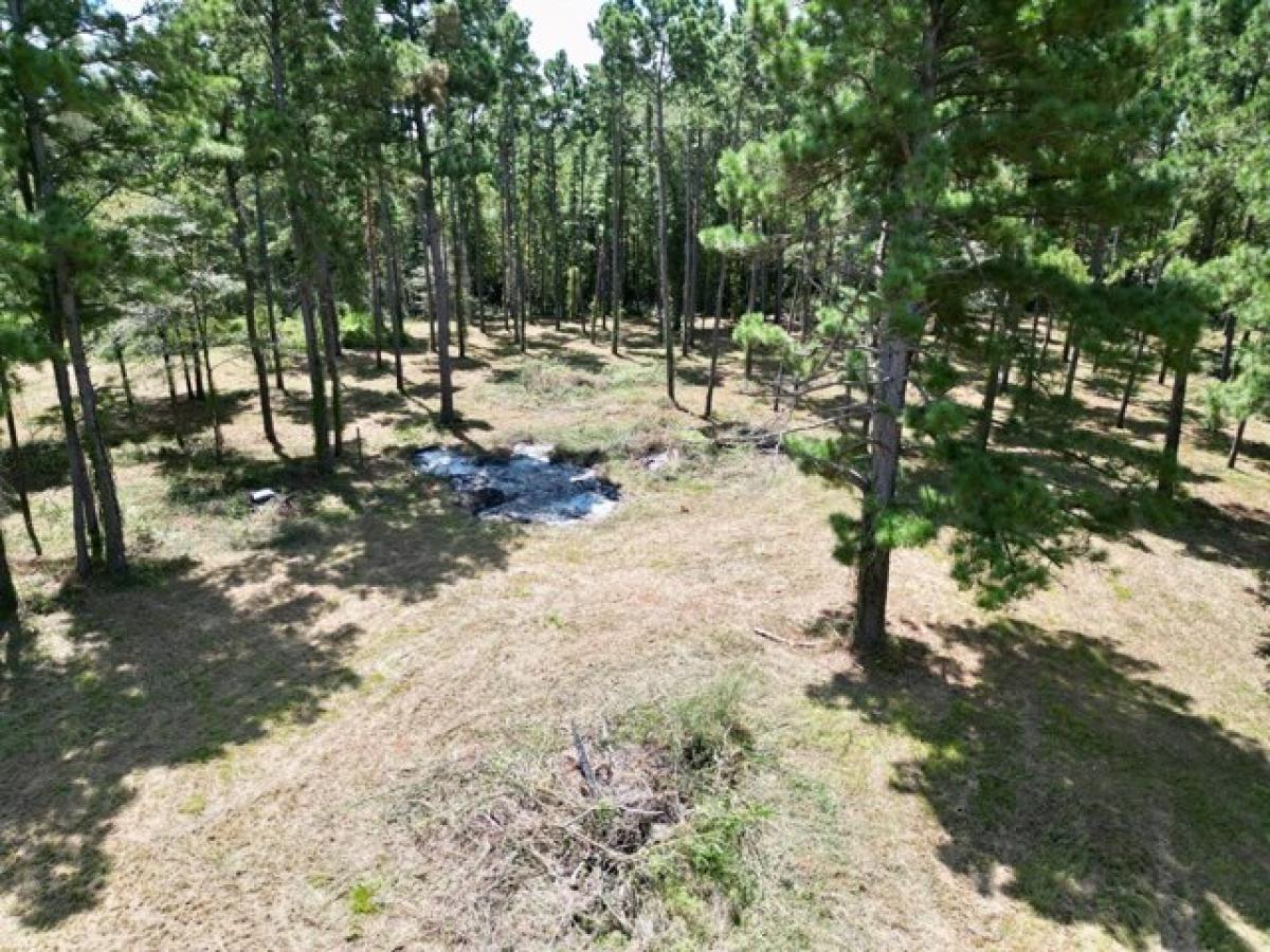 Picture of Residential Land For Sale in Nacogdoches, Texas, United States