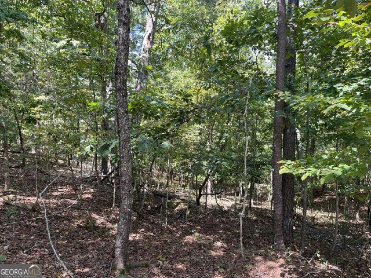 Picture of Residential Land For Sale in Toccoa, Georgia, United States