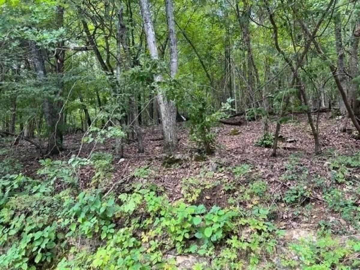 Picture of Residential Land For Rent in Holiday Island, Arkansas, United States