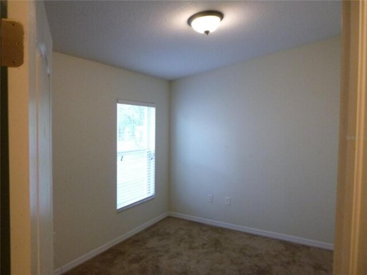 Picture of Home For Rent in Wesley Chapel, Florida, United States