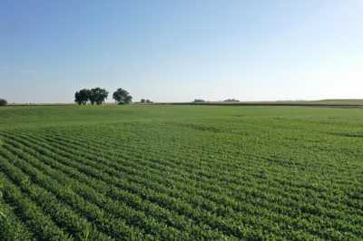 Residential Land For Rent in Pilot Mound, Iowa