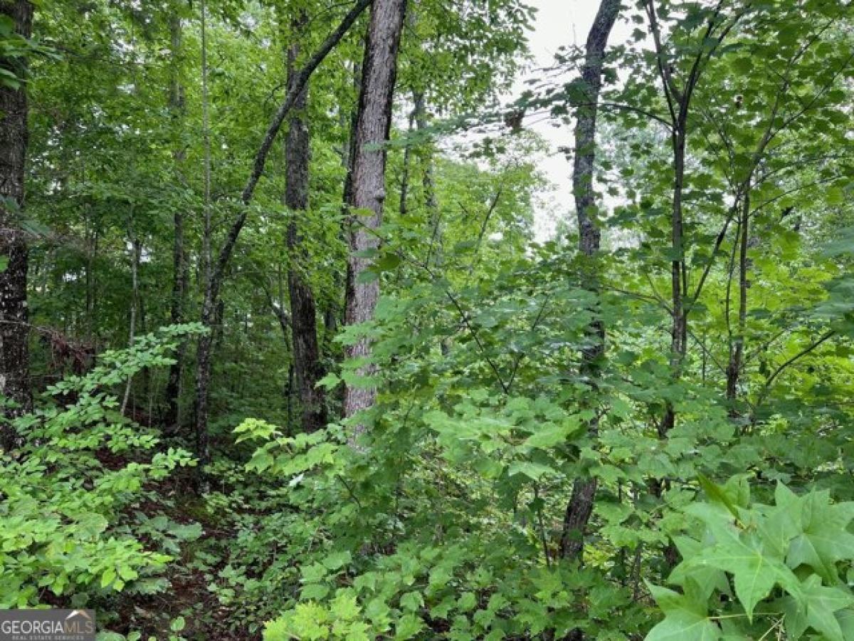 Picture of Residential Land For Sale in Ellijay, Georgia, United States