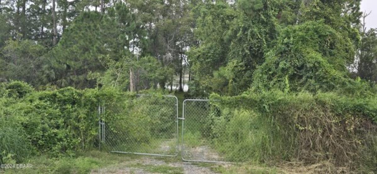 Picture of Residential Land For Sale in Deltona, Florida, United States