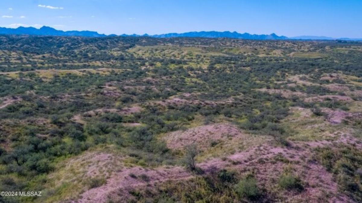 Picture of Residential Land For Sale in Nogales, Arizona, United States