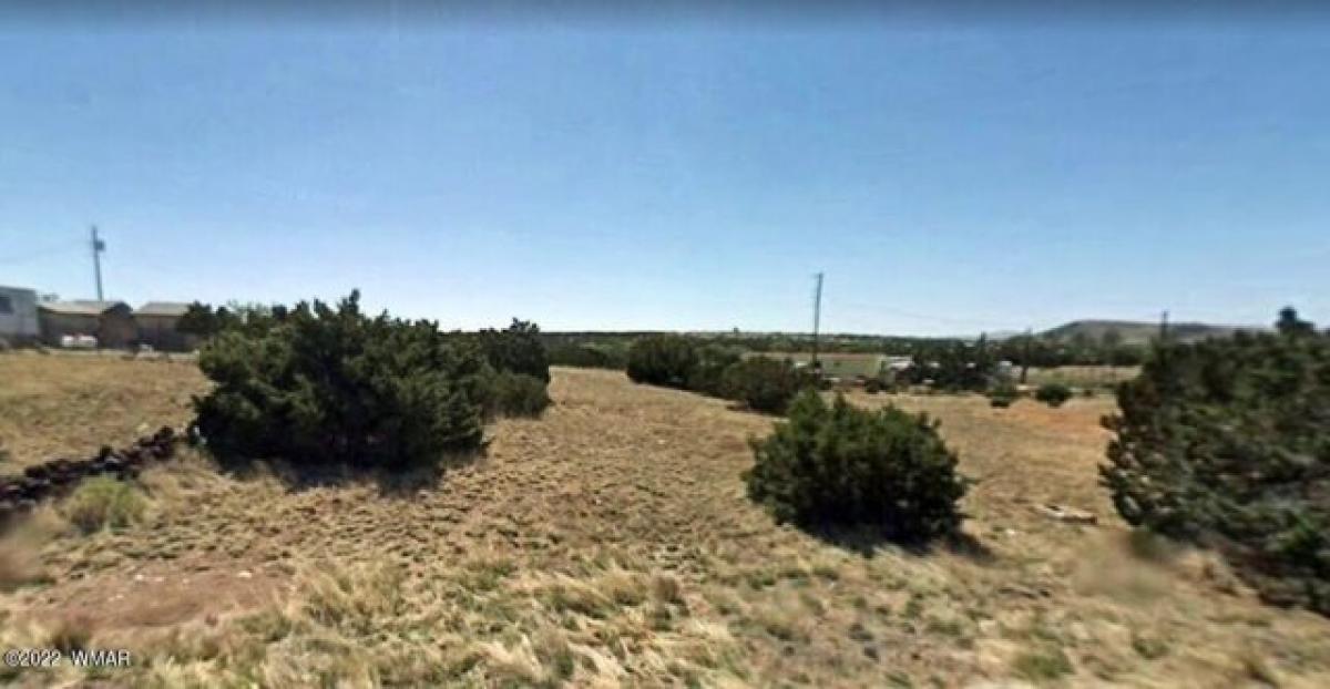 Picture of Residential Land For Sale in Concho, Arizona, United States