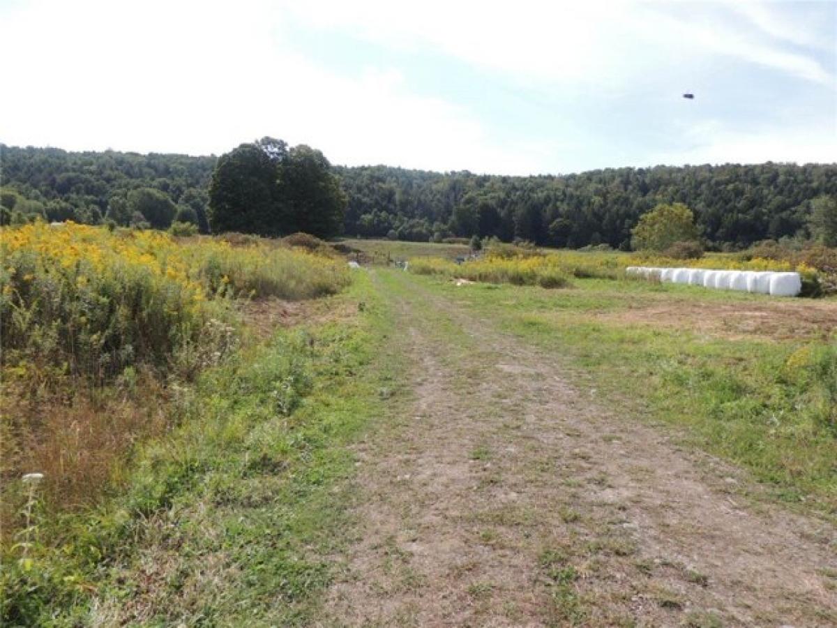 Picture of Residential Land For Sale in South New Berlin, New York, United States